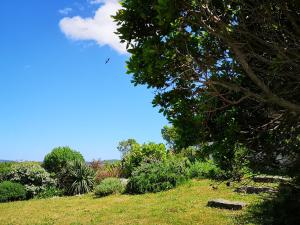 Appartements avec jardin entre Porto-Vecchio et Figari - Casa Mattiste : photos des chambres