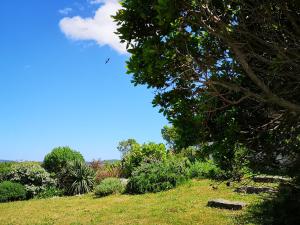 Appartements Appartement avec jardin entre Porto-Vecchio et Figari - Casa Mattiste : photos des chambres