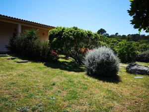 Appartements Appartement avec jardin entre Porto-Vecchio et Figari - Casa Mattiste : photos des chambres