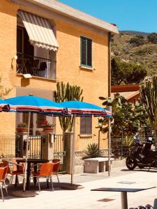 Appartamenti vicini al mare a Giglio campese