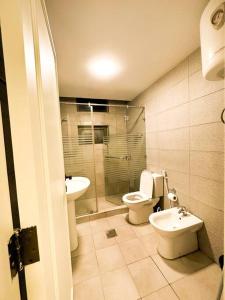 central apartment for rent 30