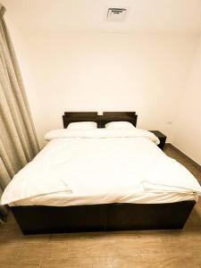 central apartment for rent 30
