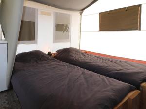 Safari Tent in Friesland near Nature