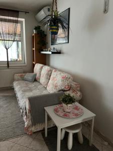 Terrace apartment s 1 spálńou Sofia-parking & Wifi