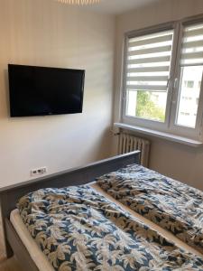 Apartament nad morzem