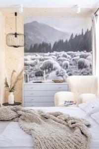 Willa Bór - Bed and breakfasts, Zakopane