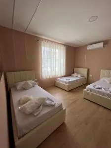 MIQT GUEST HOUSE - Dracin