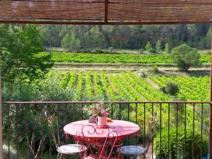 Le Figuier appart 2-3 pers en plein vignoble avec piscine privée à 30mn des gorgesdu Verdon et des plages