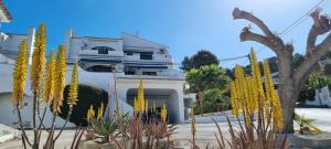 Liatris - single-storey home with tranquil views nearby Moraira