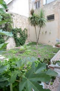 Old town secret garden img43