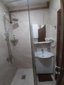 Apartment Winter Star