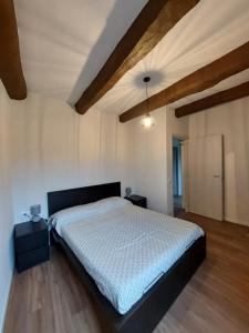 Bruni Apartments Arcidosso - Artù