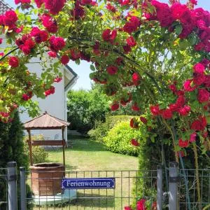 Traudis Ferienwohnung - Eberswalde