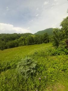 Apartment Winter Star