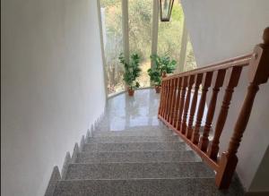 Qeranas rooms: Corner of nature