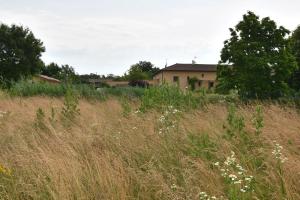 B&B / Chambres d'hotes L'oiseau Blanc : photos des chambres