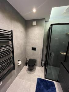 San Antonio Apartment