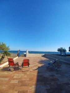 Nido sul mare
