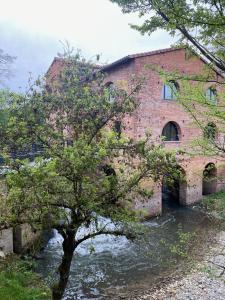 Appartements LE MOULIN DE LA FLAMBERE : photos des chambres