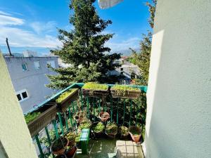 Triangulum apartment Center of Niksic
