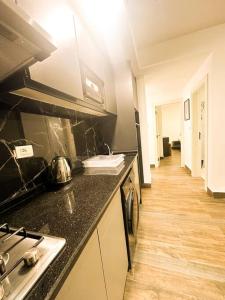 central apartment for rent 25