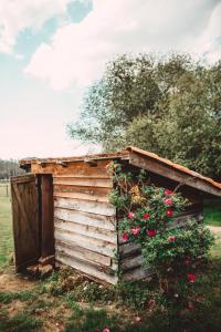 Maisons d'hotes Le Ranch Kabahina Golf : photos des chambres