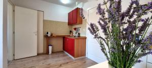 Tiny Studio Big living