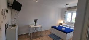 Tiny Studio Big living