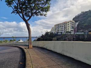 Inas Garden in Santa Cruz