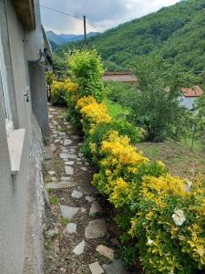 IL NON TI SCORDAR DI ME