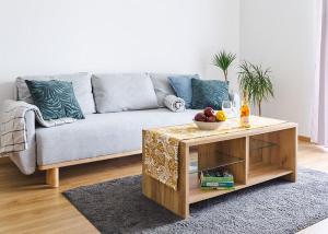 City and Thermal Apartman