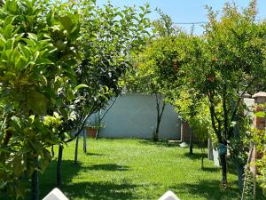 Lalzi Rental apartments