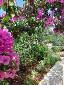 Apartment Emili Marina