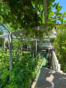 Lalzi Rental apartments