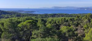 Hameau Provençal - T2 NEUF très calme tout à pied prestation +++