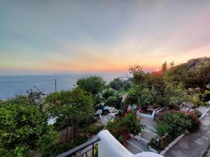 Vlami's House Andros