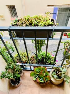 Maisons de vacances Maison Historique rue Vermeille Argeles sur mer : photos des chambres