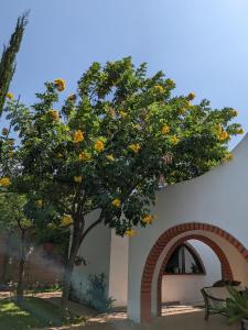 Casa Hotel Mamaluna