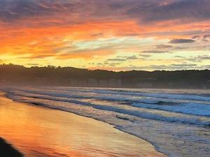 Appartements Appartement moderne a 75m de la plage avec balcon et wifi - FR-1-2-433 : photos des chambres