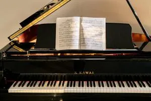 The Studio - Wartling