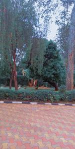 Runda Kathys 2 Bedrooms