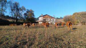 B&B / Chambres d'hotes Maison d'hotes et Gite pres de Saint Girons - Le Jardin de Moulis : photos des chambres