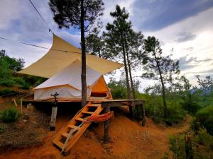 Tentes de luxe Grande Tente Tipi avec magnifique vue : photos des chambres