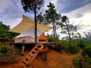 Tentes de luxe Grande Tente Tipi avec magnifique vue : Tente