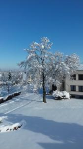 Appartements BONNE IDEE - Suite GEORGES - Meuble de tourisme 4 etoiles : photos des chambres