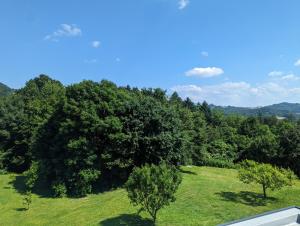 Apartments Domačija Mlaker