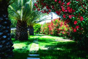 ANCIENT MEROPIA - Les jardins des muses