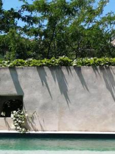 Maisons de vacances Urban Jungle - Piscine : photos des chambres