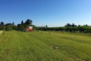 Maisons de vacances Grande maison de charme avec piscine au coeur des vergers et vignobles : photos des chambres