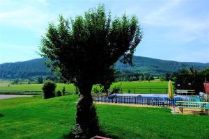 B und B Titisee Hotel Sonnenmatte nahe Badeparadies